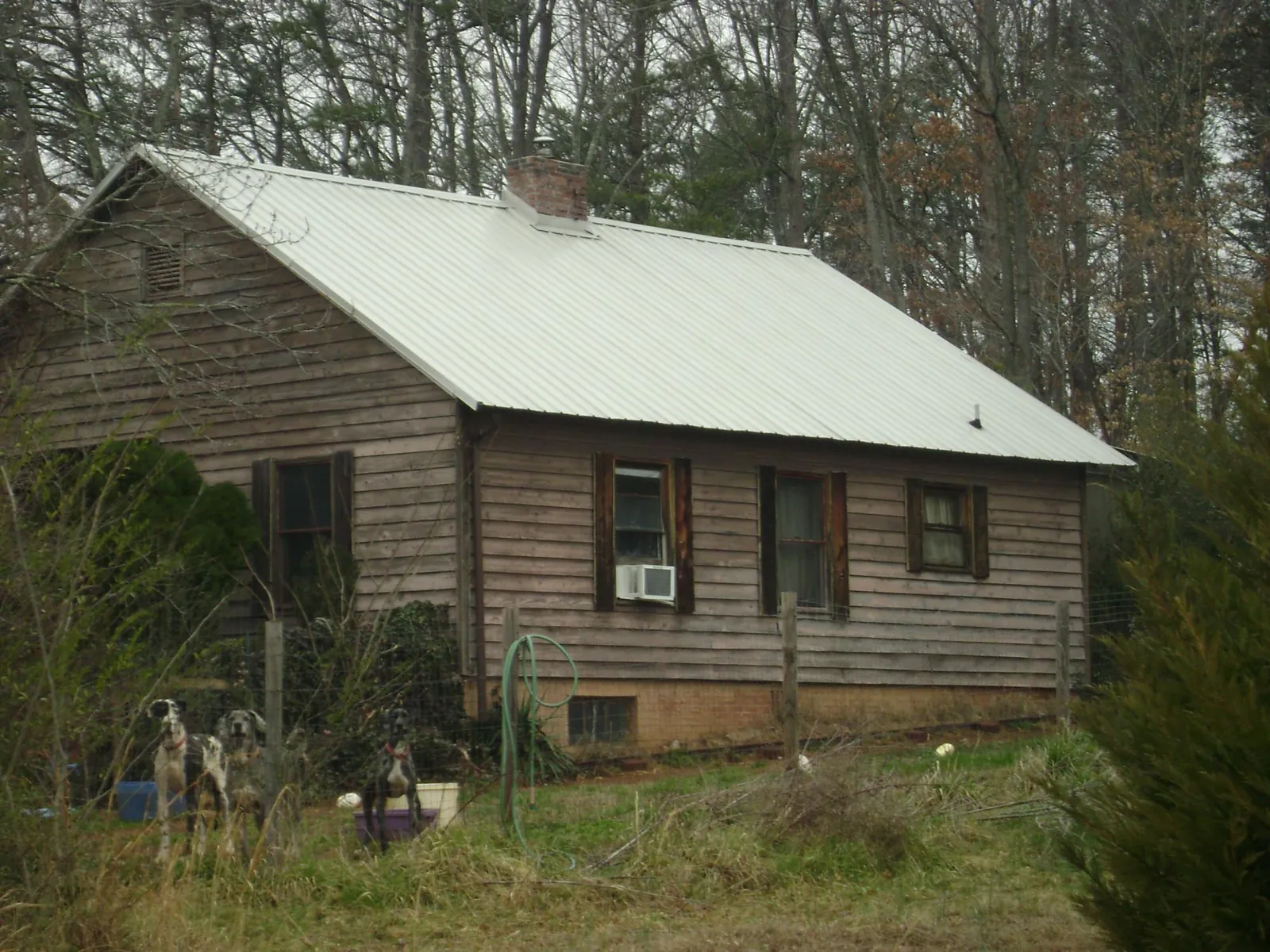 White metal roof on an old wood sided farmhouse, from a Asphalt Shingle Roof Repair job in Hartington